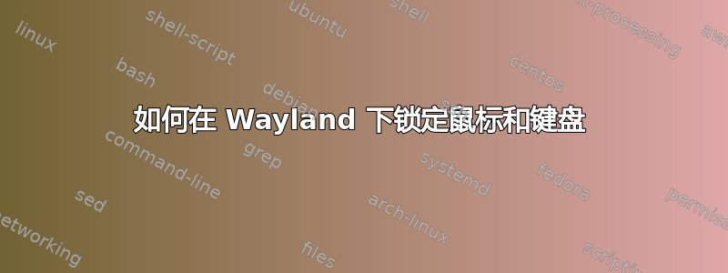 如何在 Wayland 下锁定鼠标和键盘