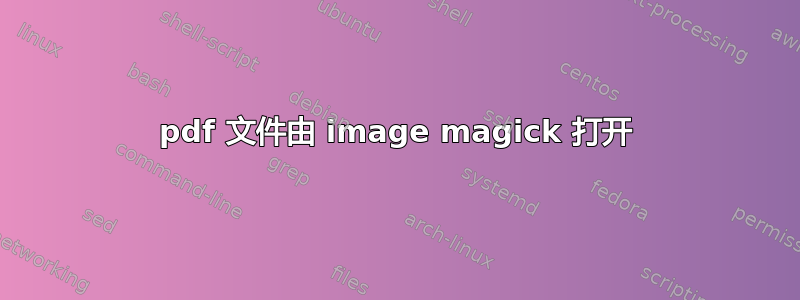 pdf 文件由 image magick 打开