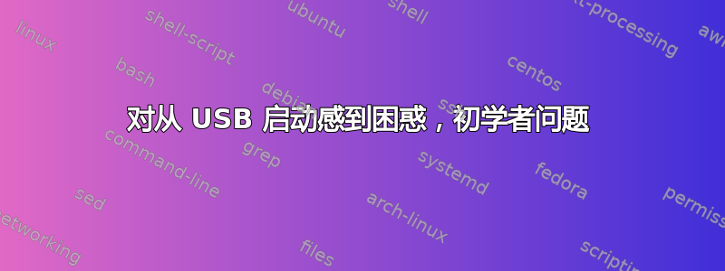 对从 USB 启动感到困惑，初学者问题