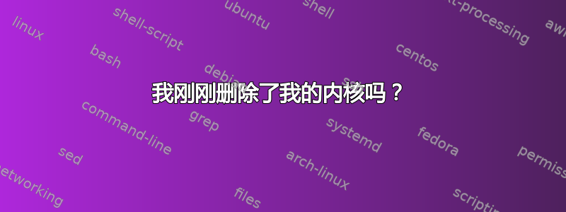 我刚刚删除了我的内核吗？