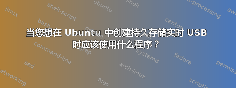 当您想在 Ubuntu 中创建持久存储实时 USB 时应该使用什么程序？