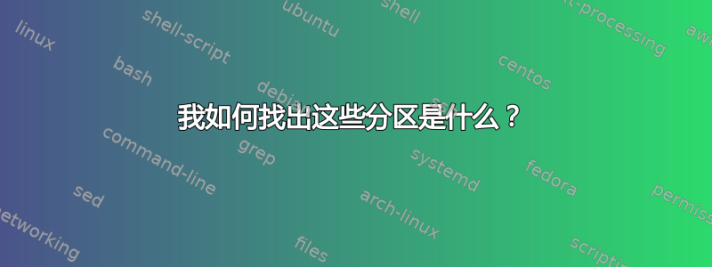 我如何找出这些分区是什么？