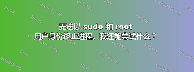 无法以 sudo 和 root 用户身份终止进程。我还能尝试什么？