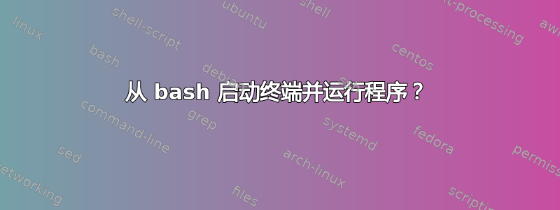 从 bash 启动终端并运行程序？