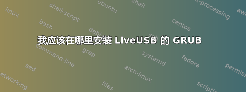 我应该在哪里安装 LiveUSB 的 GRUB 