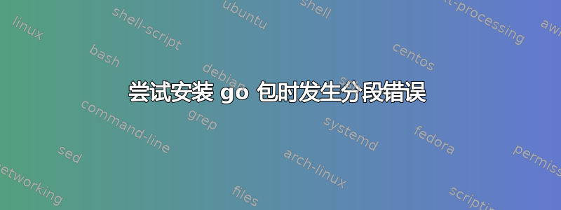 尝试安装 go 包时发生分段错误