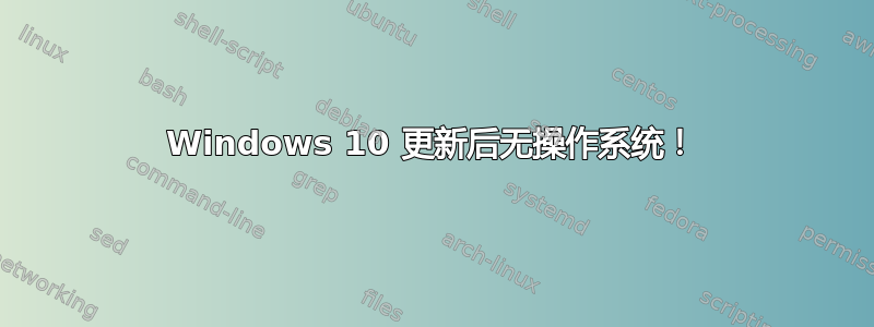 Windows 10 更新后无操作系统！