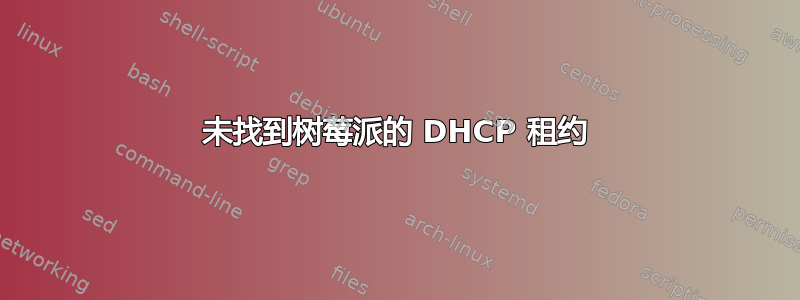 未找到树莓派的 DHCP 租约