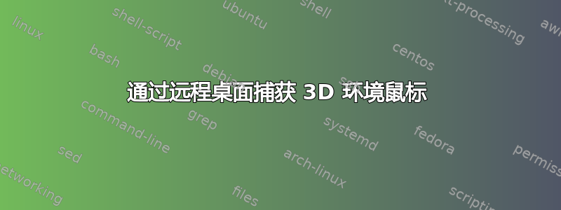 通过远程桌面捕获 3D 环境鼠标