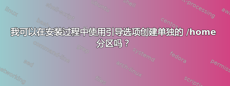 我可以在安装过程中使用引导选项创建单独的 /home 分区吗？