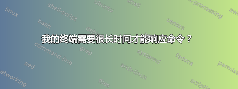 我的终端需要很长时间才能响应命令？