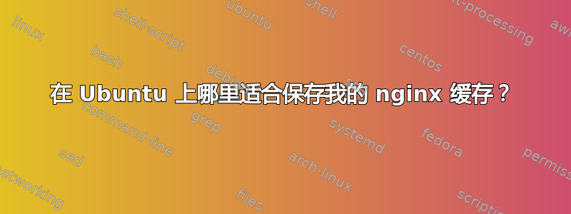 在 Ubuntu 上哪里适合保存我的 nginx 缓存？