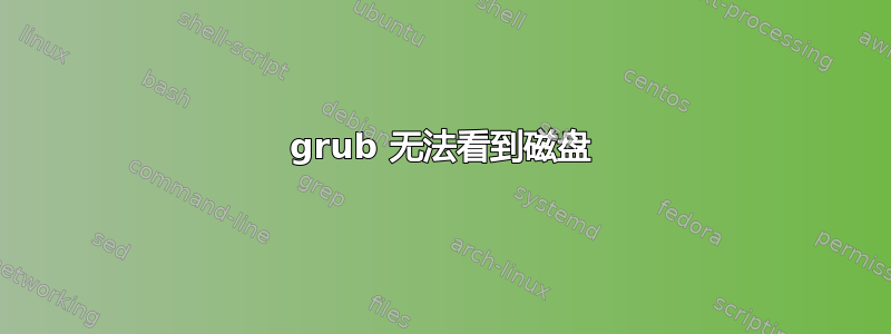 grub 无法看到磁盘