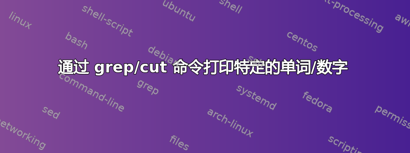 通过 grep/cut 命令打印特定的单词/数字