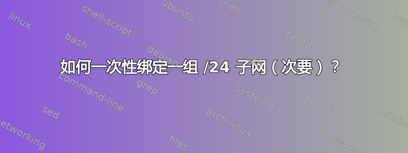 如何一次性绑定一组 /24 子网（次要）？