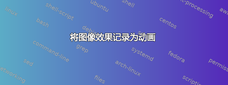 将图像效果记录为动画