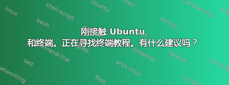 刚接触 Ubuntu 和终端。正在寻找终端教程。有什么建议吗？