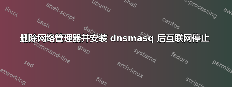 删除网络管理器并安装 dnsmasq 后互联网停止