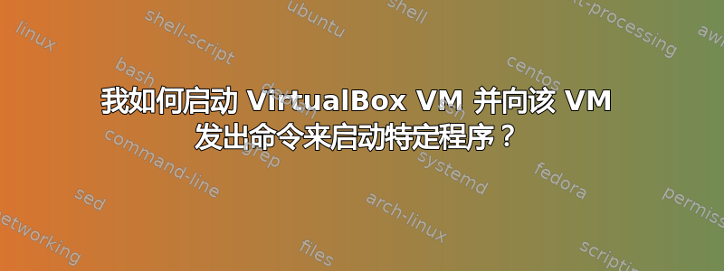 我如何启动 VirtualBox VM 并向该 VM 发出命令来启动特定程序？