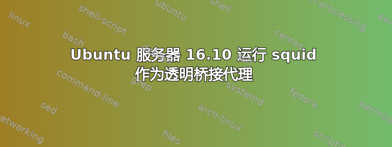 Ubuntu 服务器 16.10 运行 squid 作为透明桥接代理