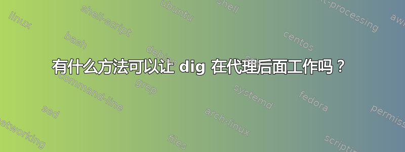 有什么方法可以让 dig 在代理后面工作吗？