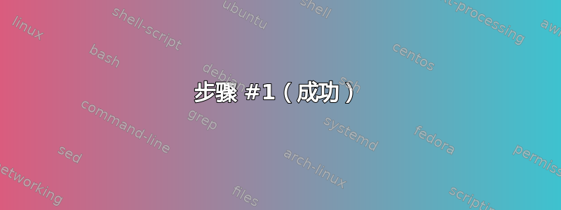 步骤 #1（成功）