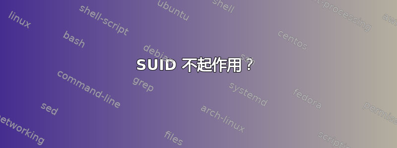 SUID 不起作用？