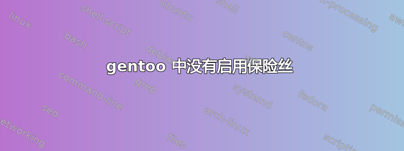 gentoo 中没有启用保险丝