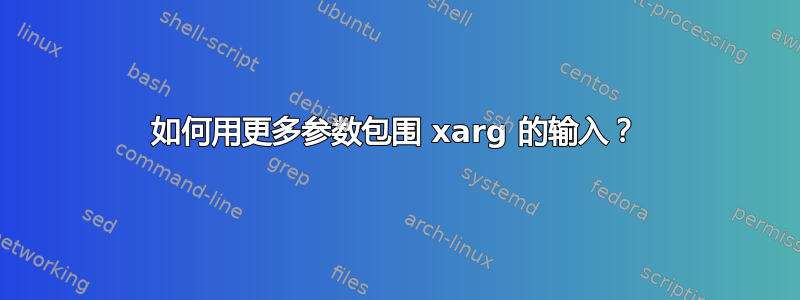 如何用更多参数包围 xarg 的输入？