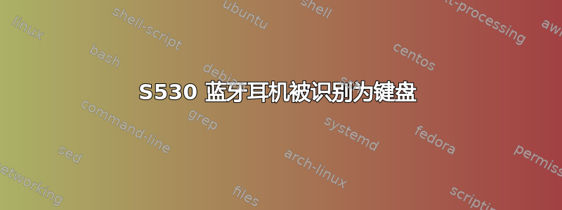 S530 蓝牙耳机被识别为键盘