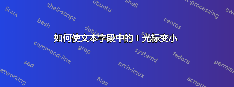 如何使文本字段中的 I 光标变小