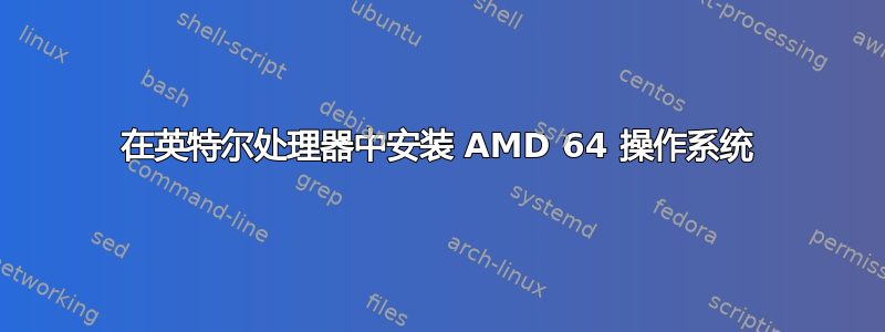 在英特尔处理器中安装 AMD 64 操作系统