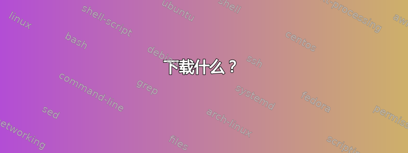 下载什么？