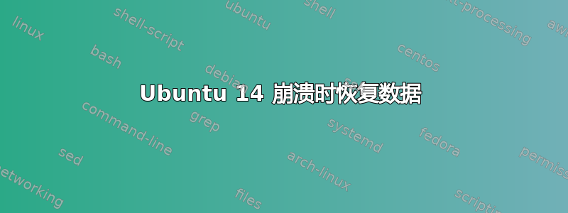 Ubuntu 14 崩溃时恢复数据