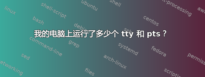 我的电脑上运行了多少个 tty 和 pts？