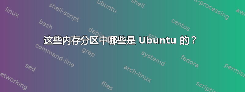 这些内存分区中哪些是 Ubuntu 的？