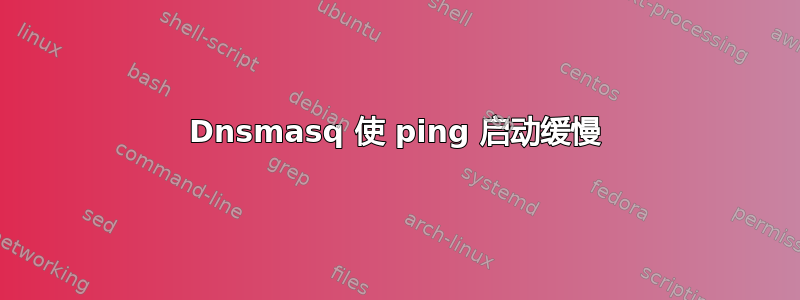 Dnsmasq 使 ping 启动缓慢