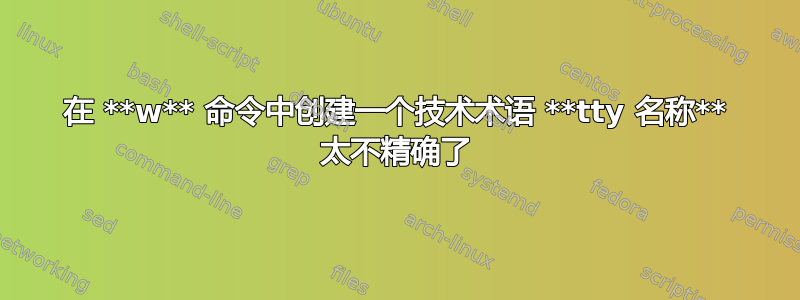 在 **w** 命令中创建一个技术术语 **tty 名称** 太不精确了