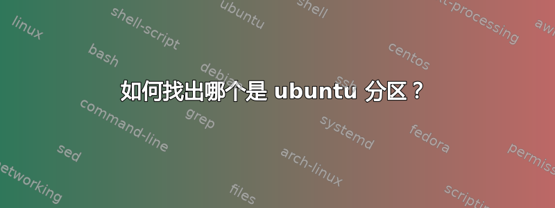 如何找出哪个是 ubuntu 分区？