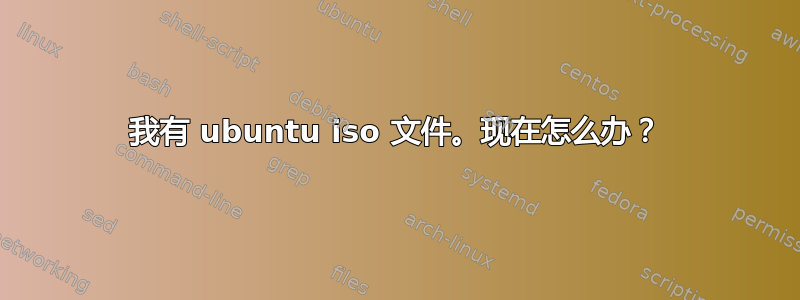 我有 ubuntu iso 文件。现在怎么办？