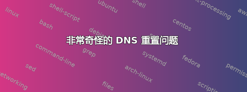 非常奇怪的 DNS 重置问题