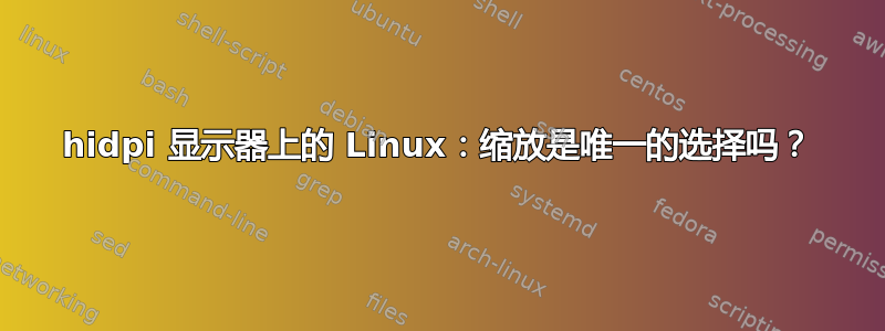 hidpi 显示器上的 Linux：缩放是唯一的选择吗？