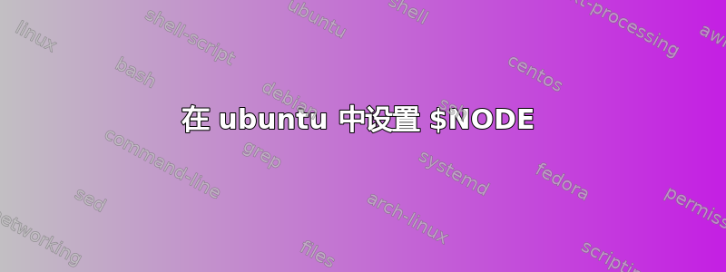 在 ubuntu 中设置 $NODE