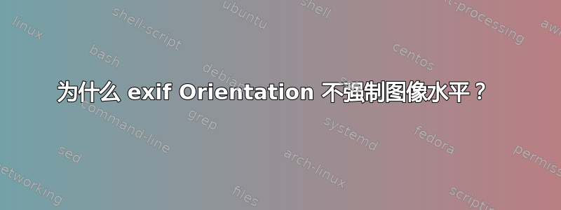 为什么 exif Orientation 不强制图像水平？ 