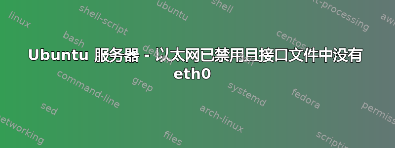 Ubuntu 服务器 - 以太网已禁用且接口文件中没有 eth0 