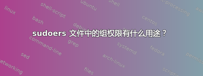 sudoers 文件中的组权限有什么用途？