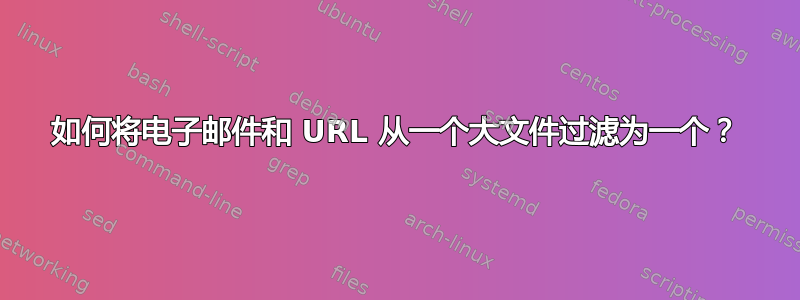 如何将电子邮件和 URL 从一个大文件过滤为一个？