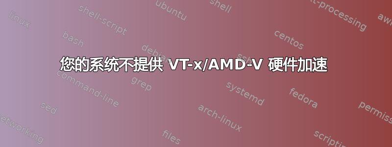 您的系统不提供 VT-x/AMD-V 硬件加速