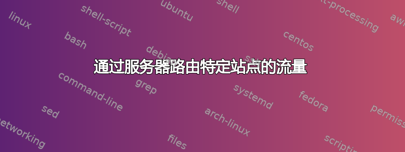 通过服务器路由特定站点的流量