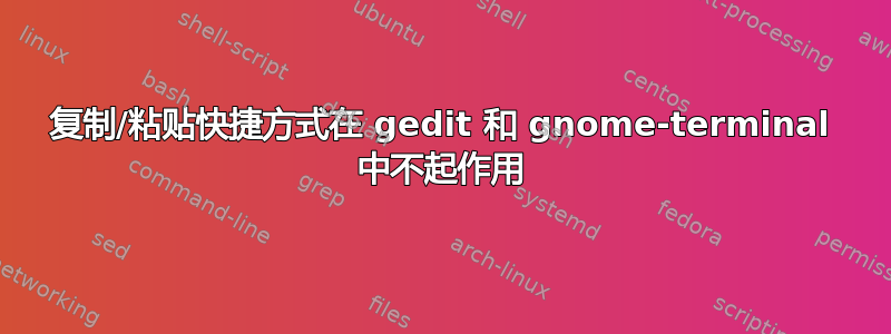 复制/粘贴快捷方式在 gedit 和 gnome-terminal 中不起作用